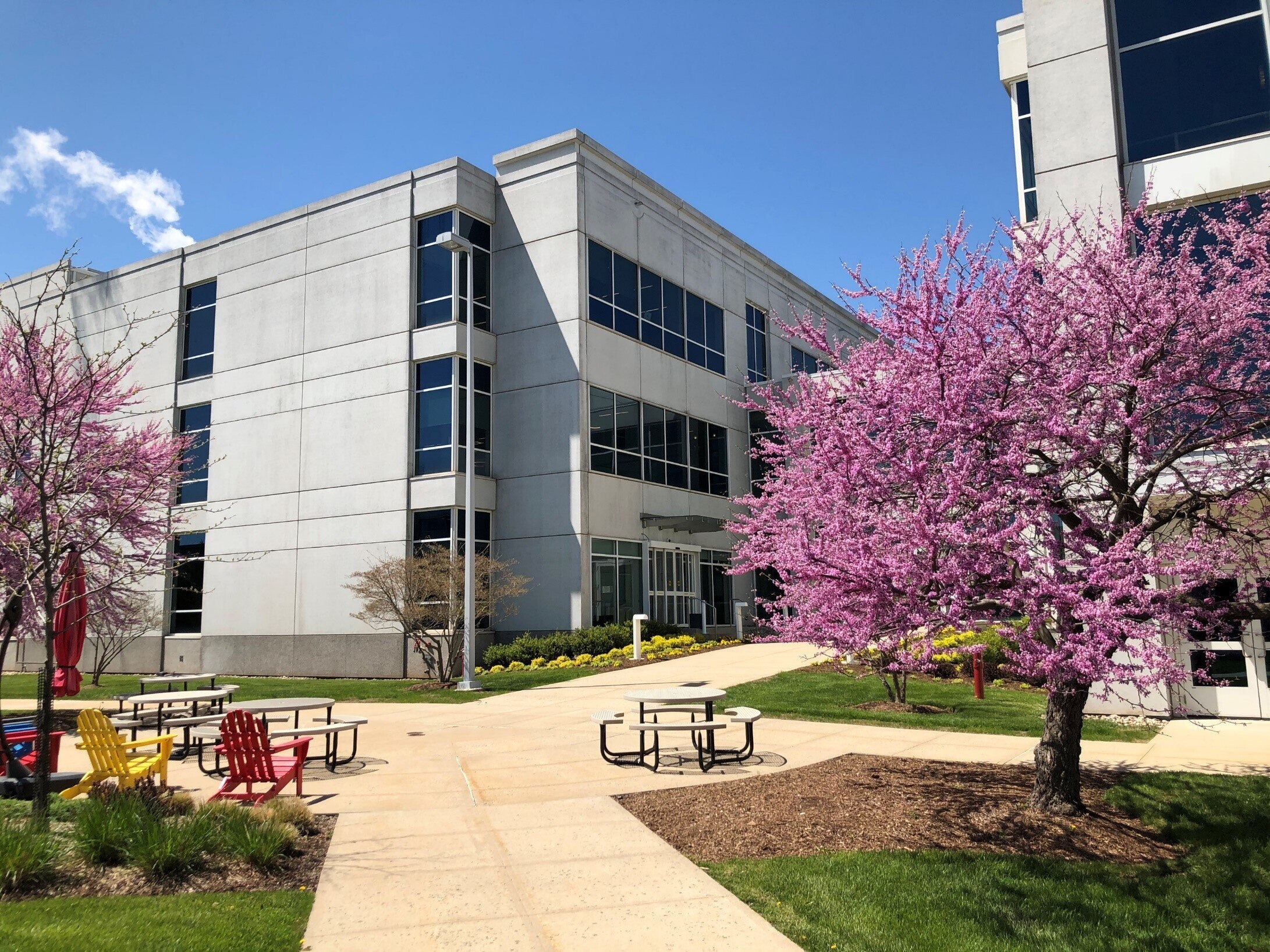 Site Management Bridgewater