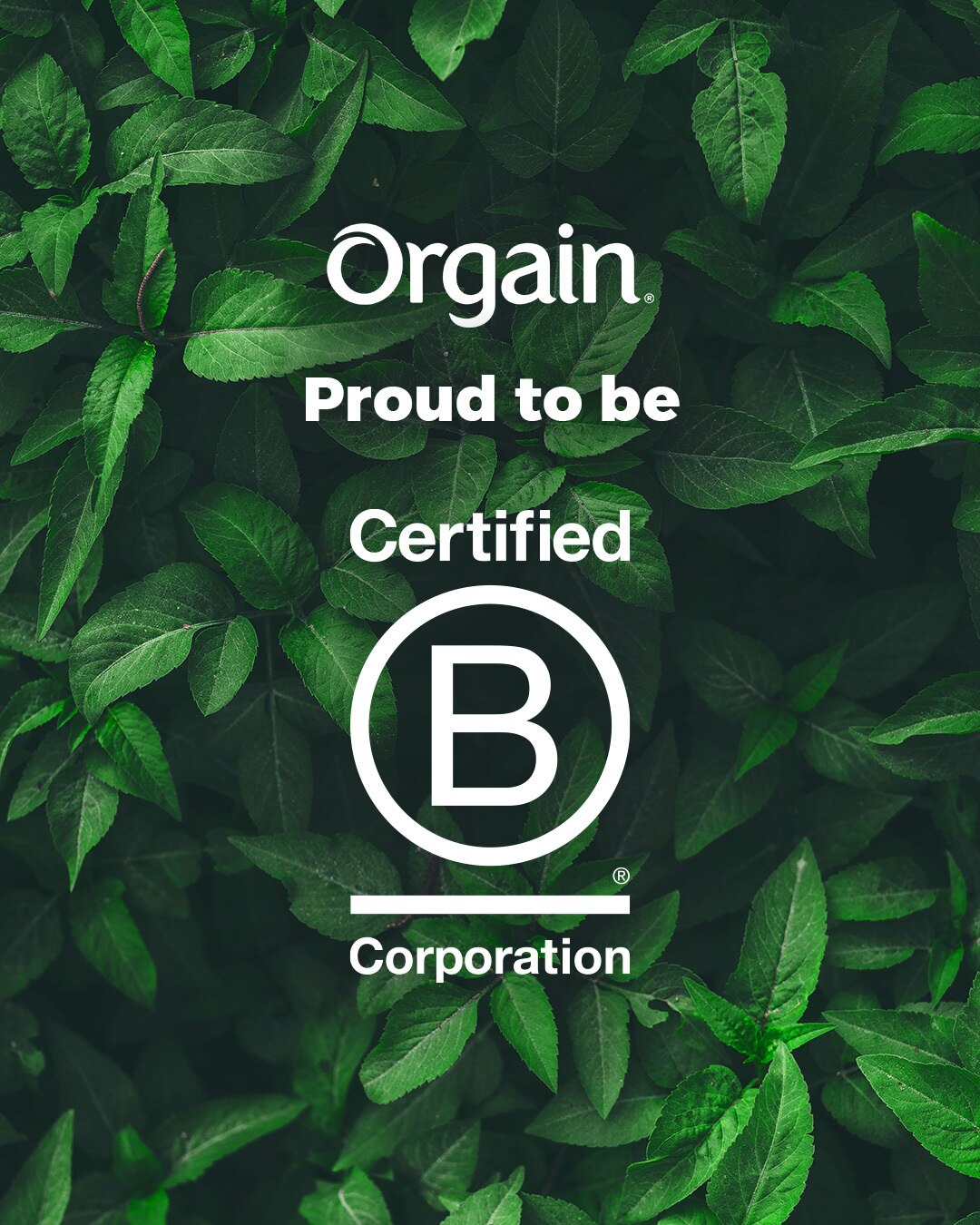 B Corp Announcement